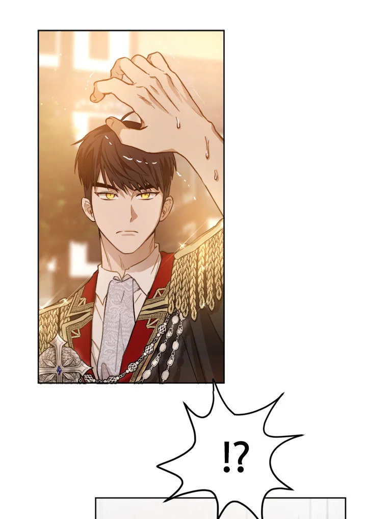 The Princess' Double Life 8 13